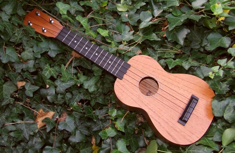 Ukulele in Nature