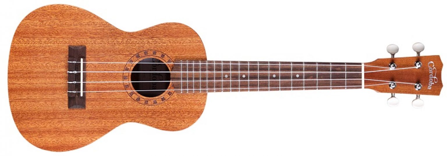 Best Ukulele Brand for Beginners Top 9 Brands for 2021! Strings Kings