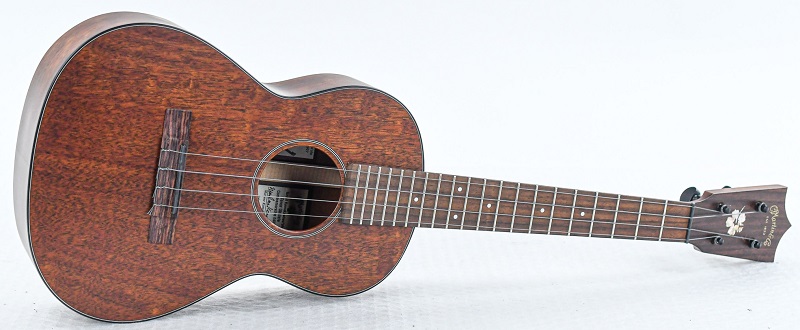 best ukulele brand for beginners 8