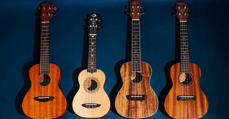 Ukulele Models