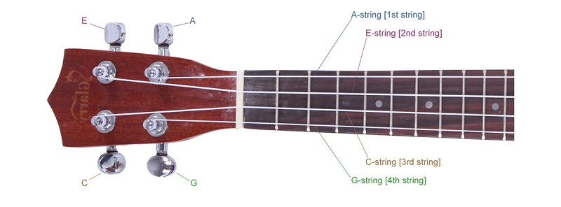 Ukulele string names