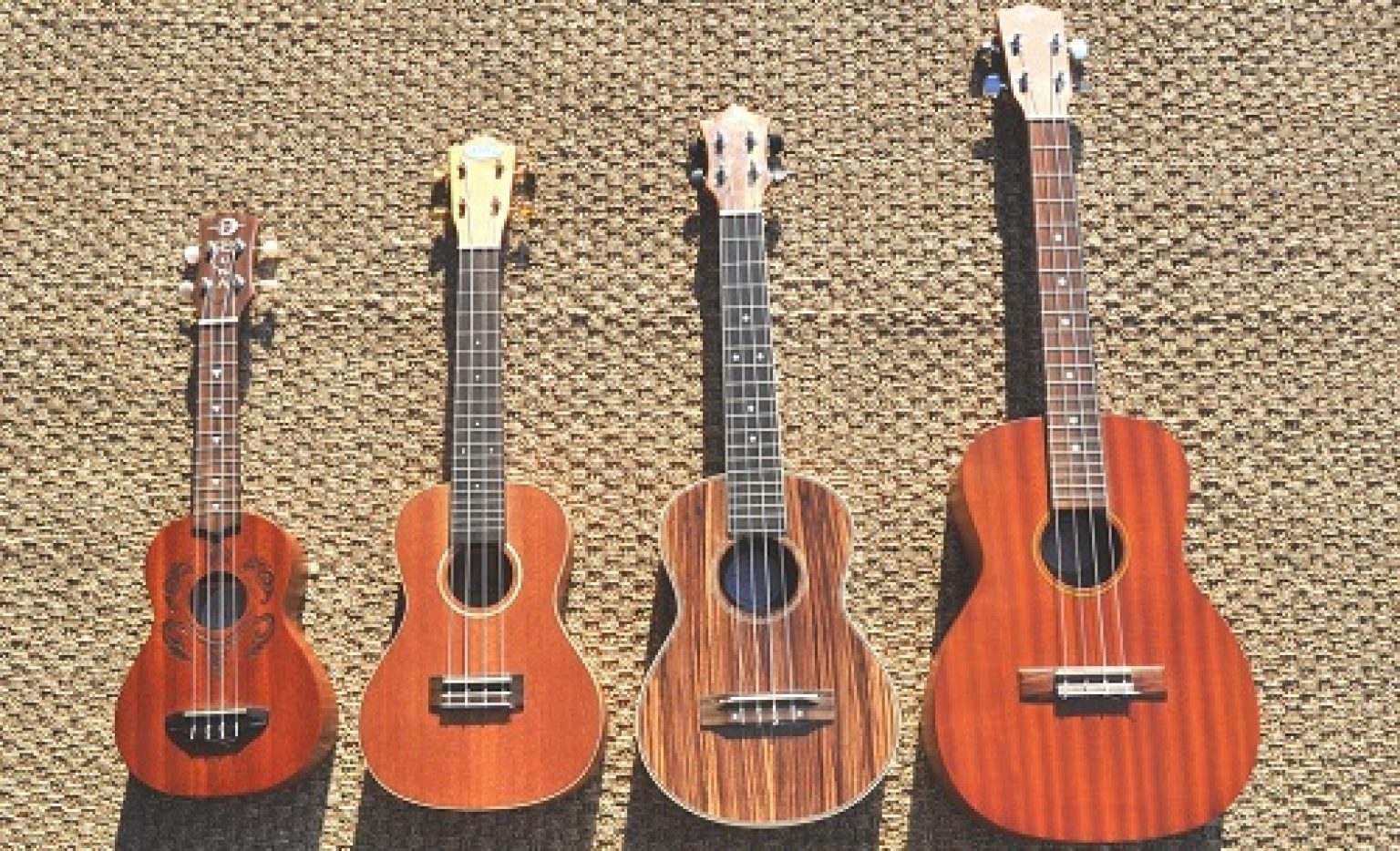 Which One is Best Ukulele Hard Case for 2023 Strings Kings