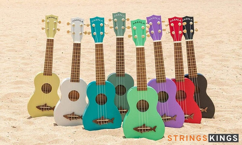 Ukuleles on Beach