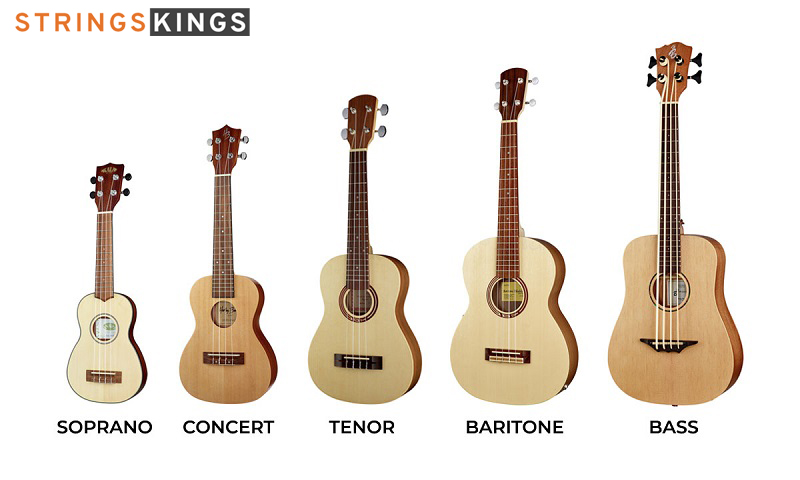 Ukulele Sizes