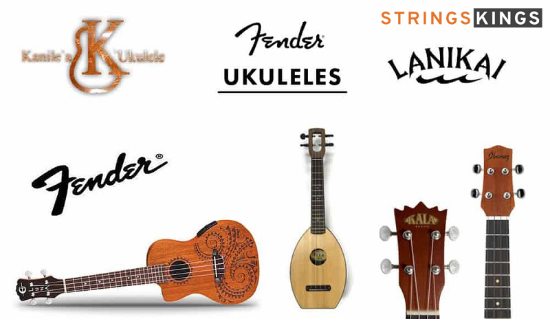 Ukulele Brands