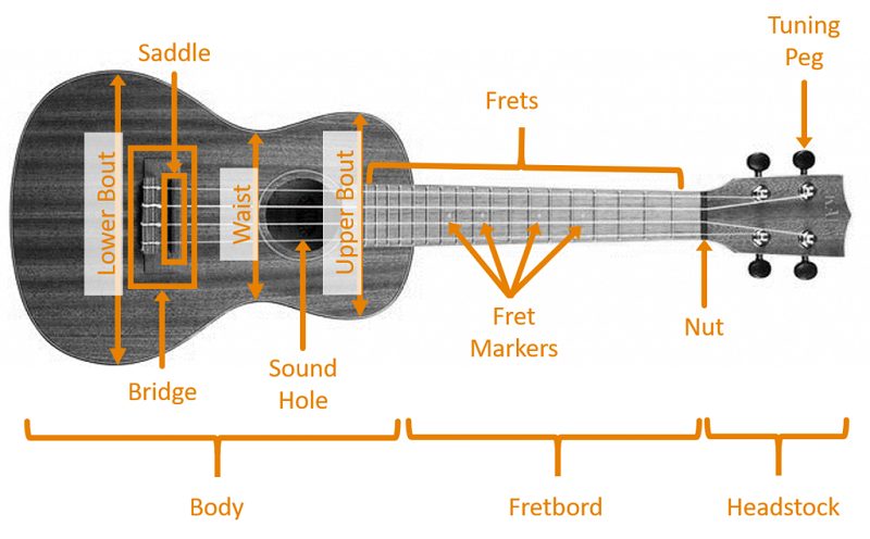 Parts of Ukulele