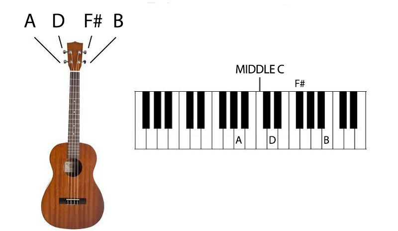 Ukulele Lessons for Beginners ADF#B