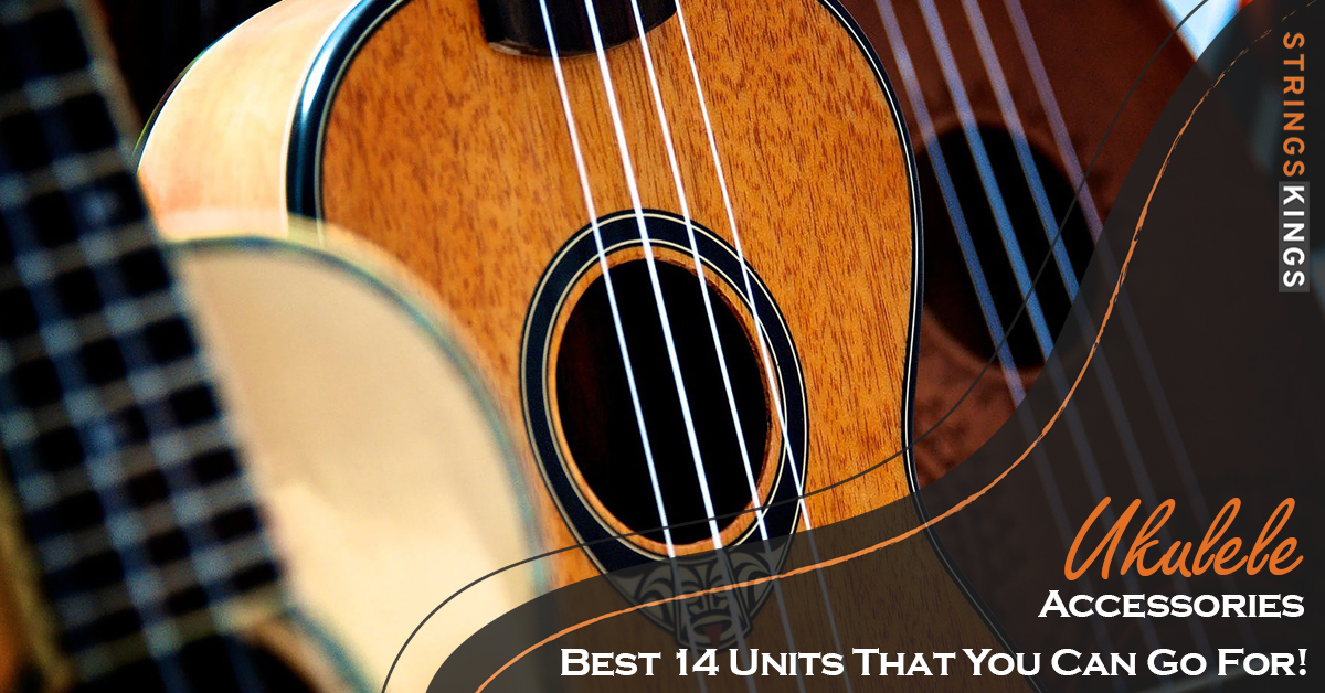 Ukulele Accessories: Best 14 Units That You Can Go For!