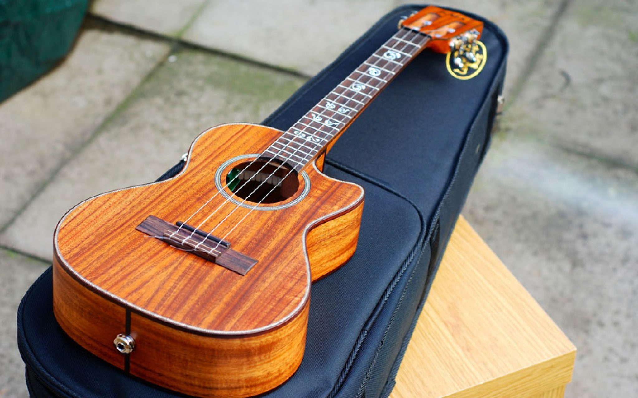 The Best Ukulele Bag to Keep Your Instrument Secure