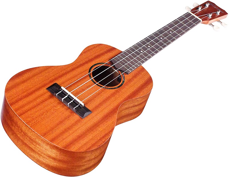 Cordoba Ukulele Review Top 9 Best Ukuleles by Cordoba in 2021