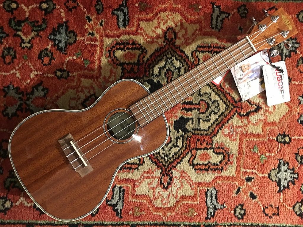 Kala Ukulele Review + 10 Best Kala Brand Ukuleles! Strings Kings