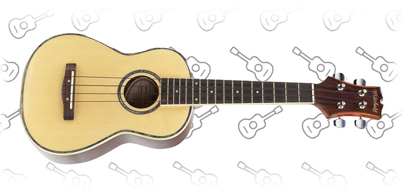 Mitchell-MU70-12-Fret-Concert-Ukulele - Mitchell Ukulele review