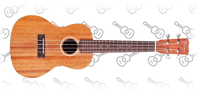 Protege Cordoba U100SM Soprano Ukulele