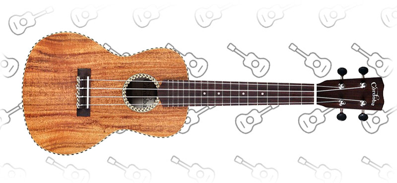 Cordoba 25C Concert Ukulele