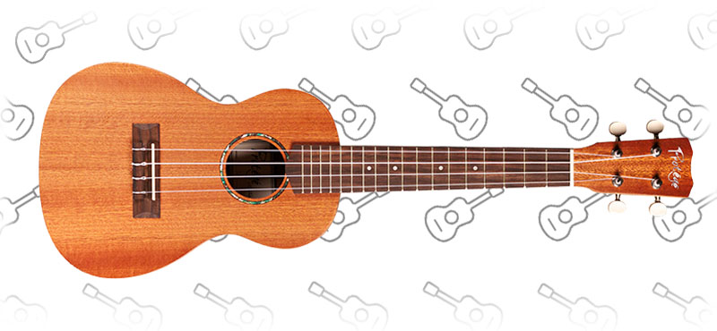 Cordoba Protege U1-M Concert Ukulele