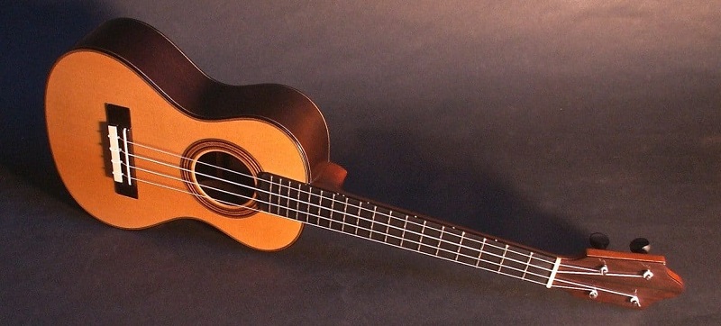 tenor model