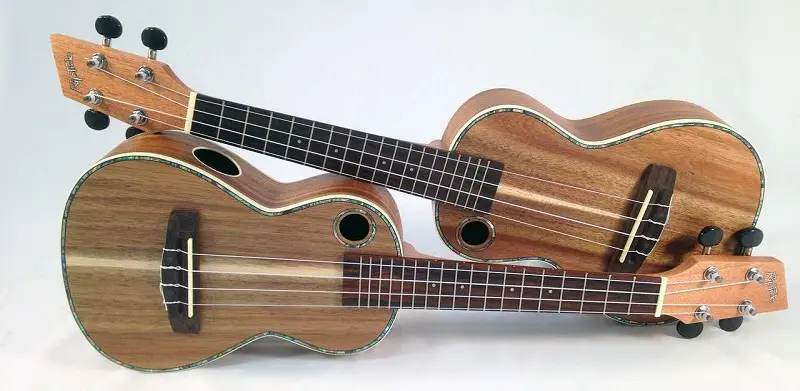 Best Left Handed Ukuleles in 2022