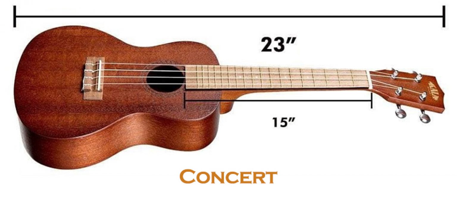 Ukulele Types and Sizes Great Guide To 5 Different Kinds of Ukuleles!