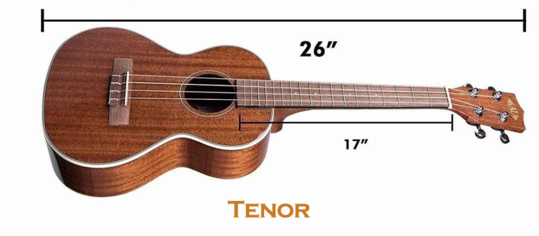 Ukulele Types and Sizes Great Guide To 5 Different Kinds of Ukuleles!