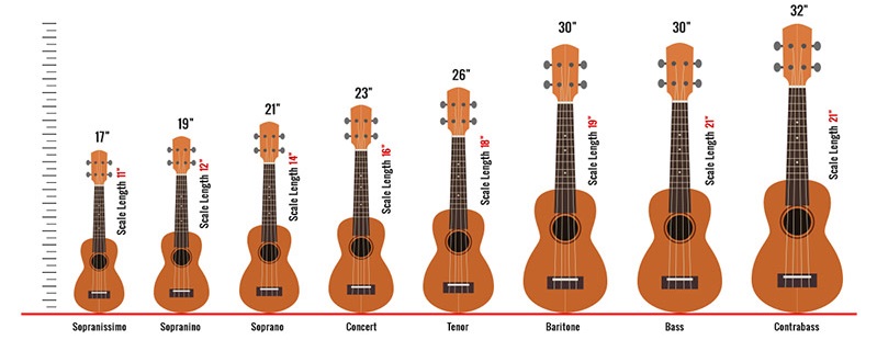 Ukulele sizes