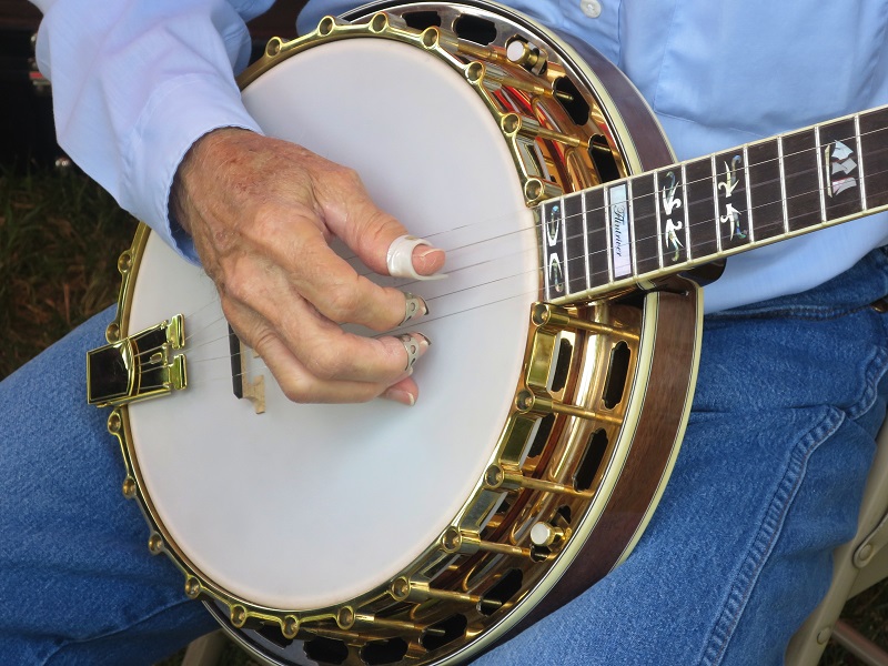 person hold banjo ukulele
