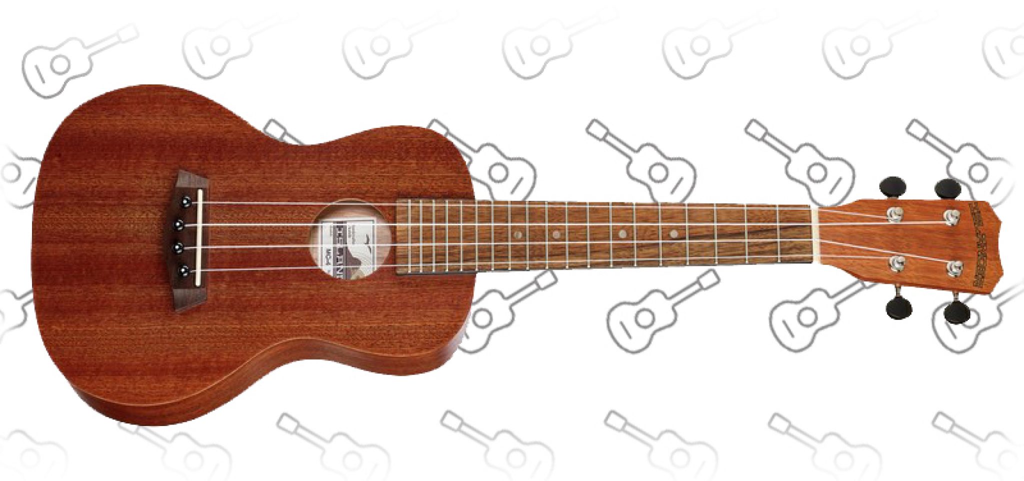 Best Hawaiian Ukuleles + Top 8 Ukuleles For 2023!
