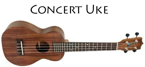 concert ukulele