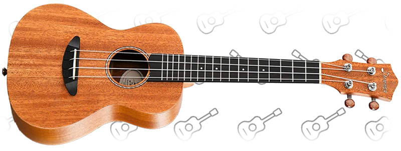 Donner Concert Ukulele Mahogany DUC 1