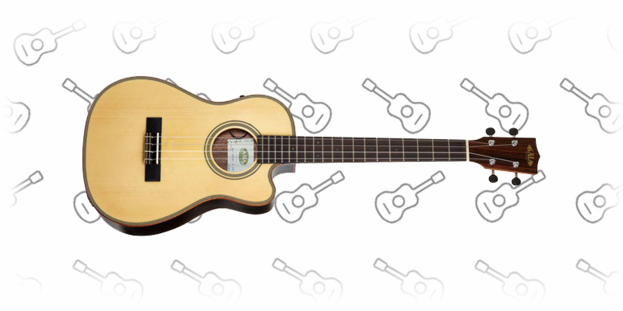 Best Acoustic Electric Ukulele Buyers Guide and Top 10 Picks!