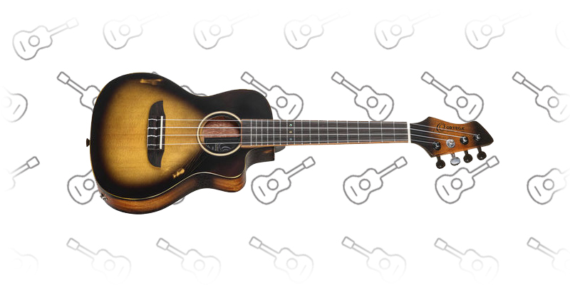  Ortega DSSUITE-UKE Ukulele