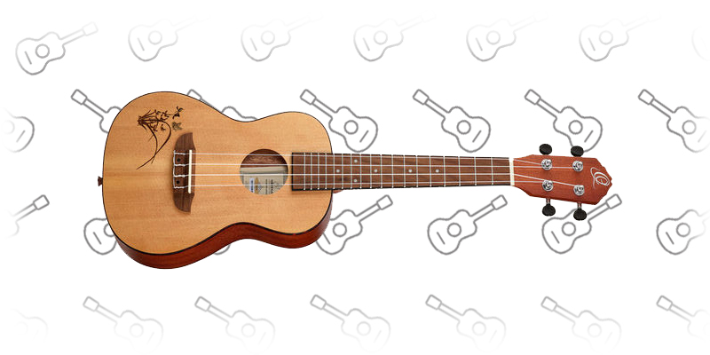 Ortega RU5L Concert Ukulele