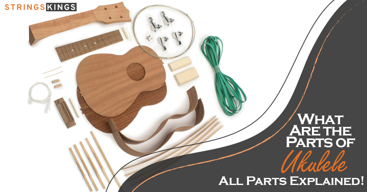 What Are the Parts of a Ukulele All Parts Explained
