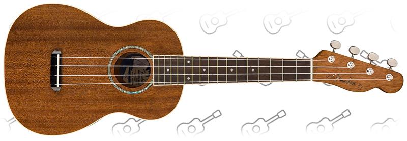 Fender ukulele brand
