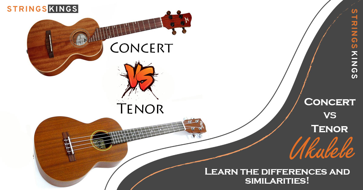 Concert vs Tenor Ukulele Strings Kings Featured