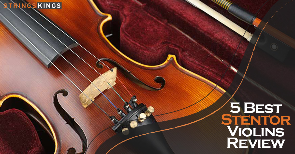 DZ Strad Violins Review + Best 8 Models Available In 2023!