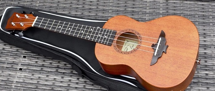 Aklot Ukulele Review