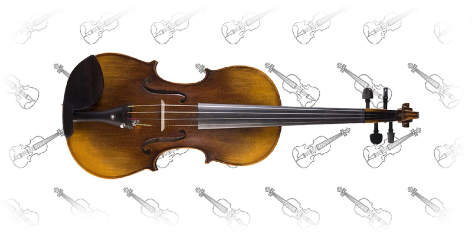 Top 14 Violins for Professionals Great Buyers Guide (2022) Strings Kings