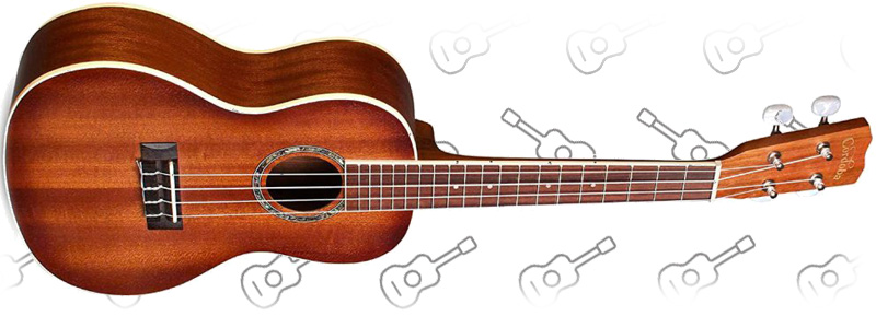 Cordoba 15CM Concert Ukulele