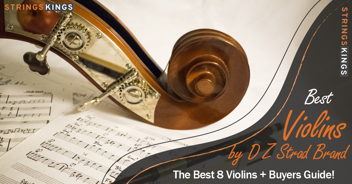 DZ Strad Violins Review + Best 8 Models Available In 2023!