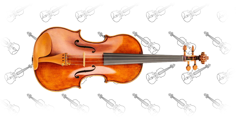 D Z Strad Model 365