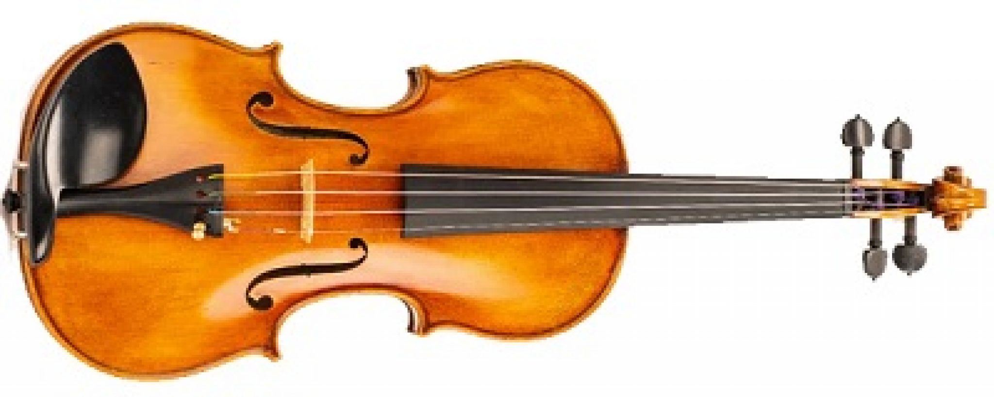 Top 14 Violins for Professionals Great Buyers Guide (2022) Strings Kings