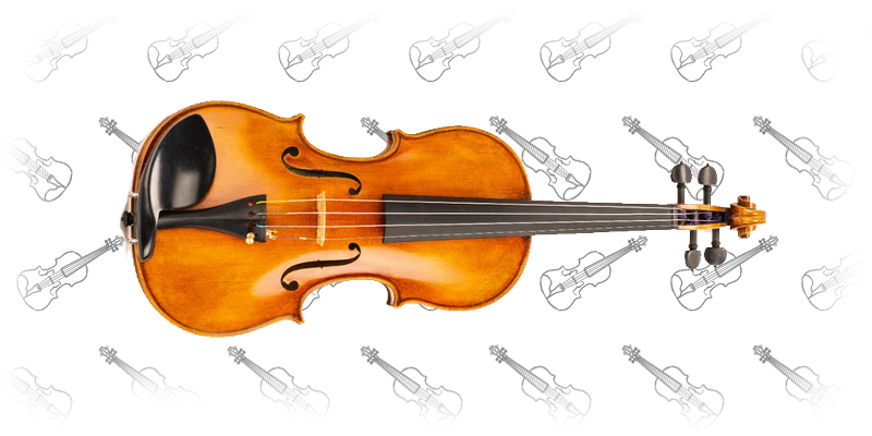 D Z Strad Model 509