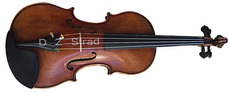 D Z Strad Violin Model 100 with Solid Wood
