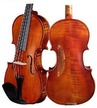 DZ Strad Violin Model 101