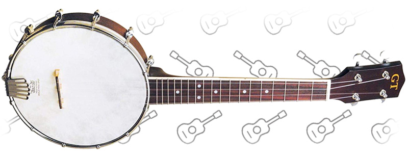 Gold Tone Concert Banjo