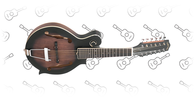 Gold Tone F-12 F-Style, 12-String Guitar Mandolin