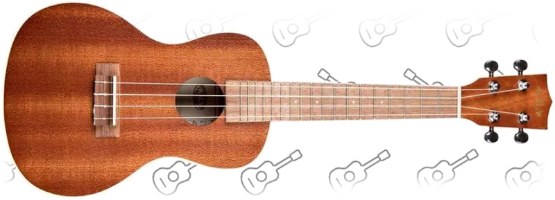  Kala KA-C Concert Ukulele 