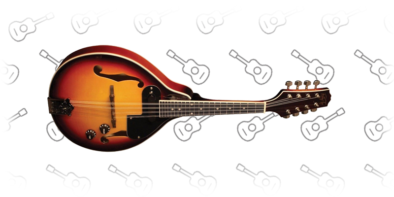 Morgan Monroe RT-M1E Mandolin