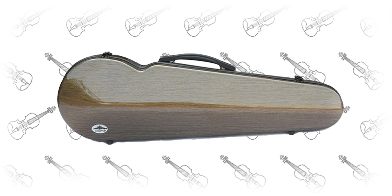 violin case