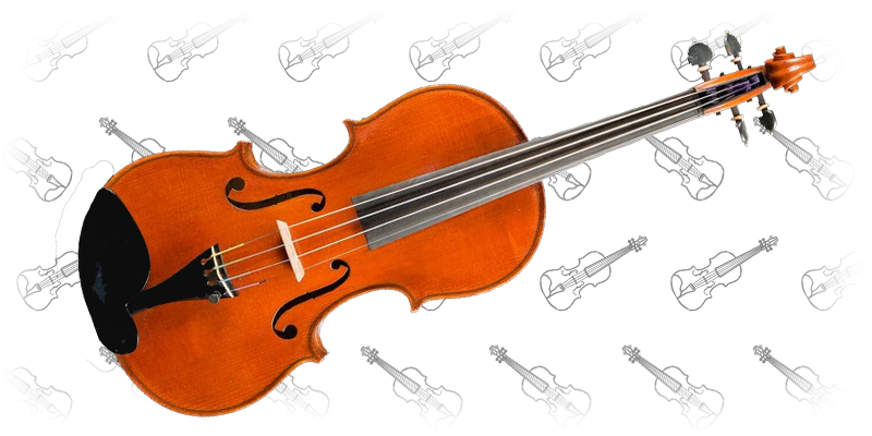 D Z Strad Violin Model 800